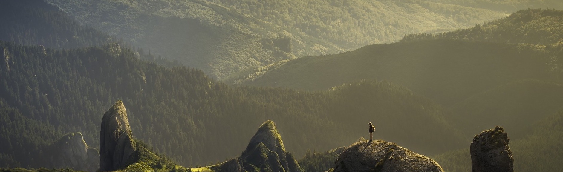 Pomagam, wspieram bez hejtu